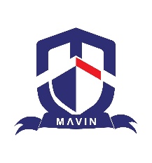 MAVIN TRANSGLOBAL LIMITED